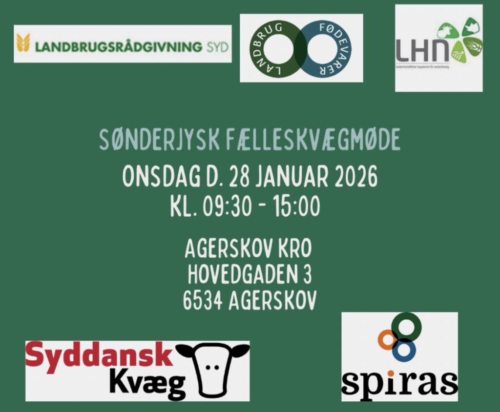 Sønderjysk Fælleskvægmøde 2026